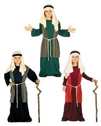 Wheelchair Commode FS609LUP-52 - Image 9