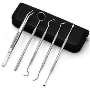 Alternative view of Stainless Steel Dental Mirror Kit