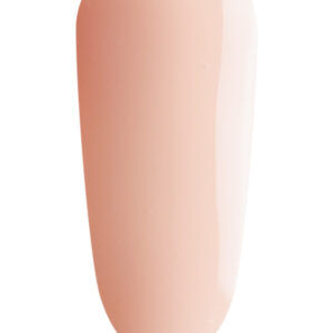 #19 BIAB Mini