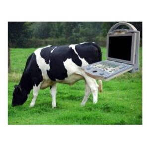 Alternative view of KX5600V Vet Ultrasound Machine