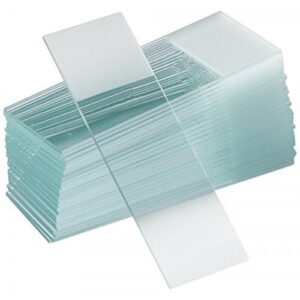 Microscope Slide Plain 10’s