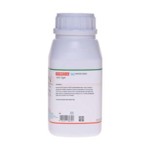Laryngoscope Set F/O Int 4 Blade ML